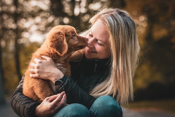 Zvířata — fotografie 5